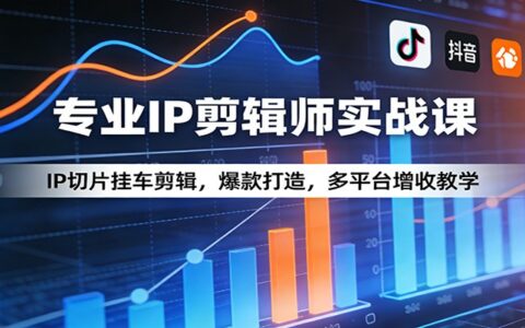 2025IP切片变现实战课：爆款案例拆解与多平台操作指南