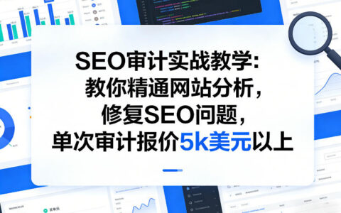 SEO审计实战教学：精通网站分析与问题修复，实现高额变现策略