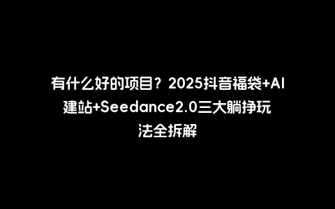 有什么好的项目？2025抖音福袋+AI建站+Seedance2.0三大躺挣玩法全拆解