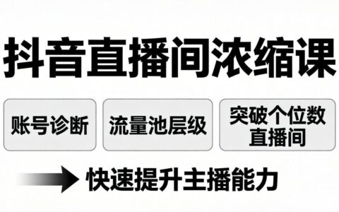 抖音直播间实战指南：账号诊断+流量池策略，实测突破低流量，提升主播变现能力