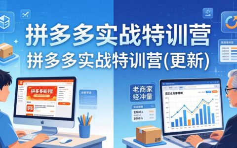 拼多多实战特训营(更新4月24)：新手老手皆可学的实操策略，实测指南助你高效变现