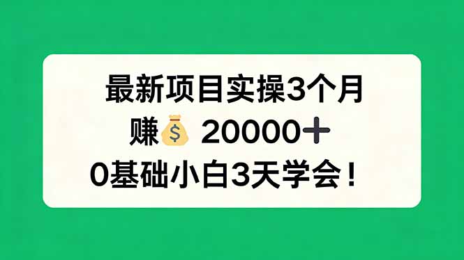 最新项目实操3个月实测，实现被动收入，0基础快速掌握！