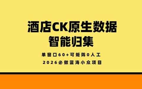 2026蓝海小众项目实操：酒店数据智能归集与高效矩阵策略指南
