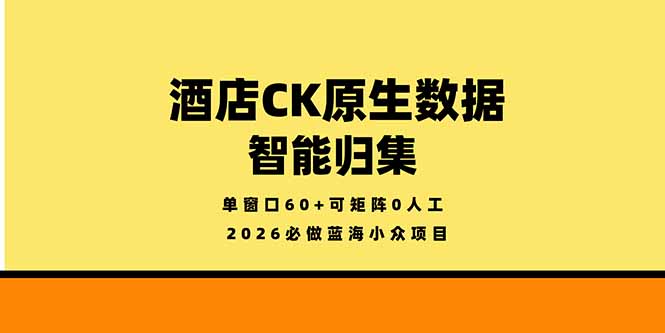 2026蓝海小众项目实操：酒店数据智能归集与高效矩阵策略指南