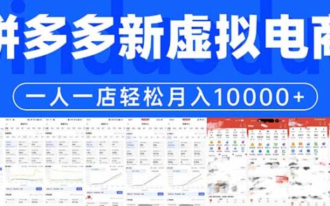 2025拼多多虚拟电商一人一店变现实战指南