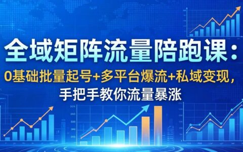 全域矩阵流量实战课：新手批量起号+多平台流量策略+私域变现指南，手把手教你提升流量