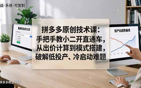 拼多多原创技术课：实战开直通车指南，从出价计算到模式搭建，解决低投产与冷启动难题