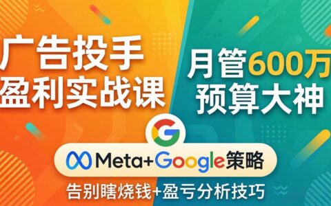 广告投手盈利策略实战课：月管600步骤万预算专家，分享Meta+Google高效投放与盈亏分析案例