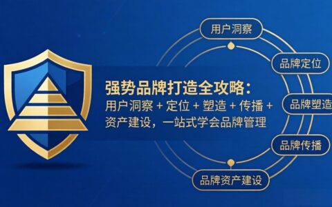 品牌管理变现实战指南：用户洞察 + 定位 + 塑造 + 传播 + 资产建设，一站式攻略