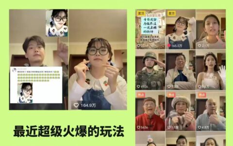 2025AI亲人复活项目实战教程：私域引流与变现策略拆解