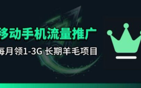 2025手机流量领取项目实操：每月一轮的刚需长期变现指南