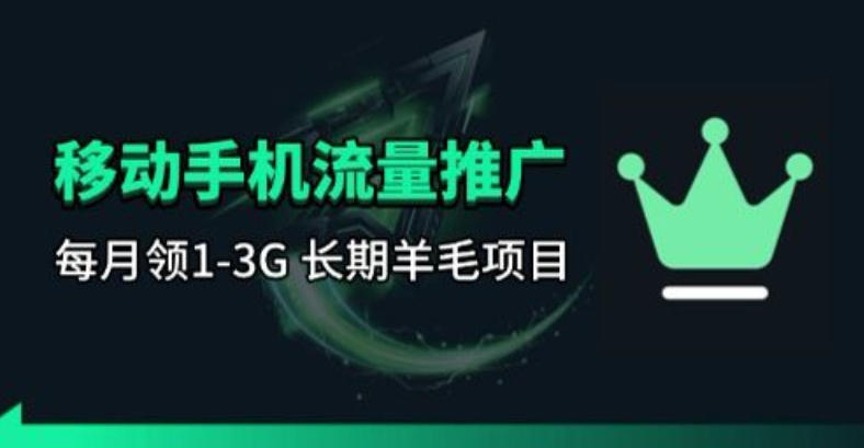 2025手机流量领取项目实操：每月一轮的刚需长期变现指南