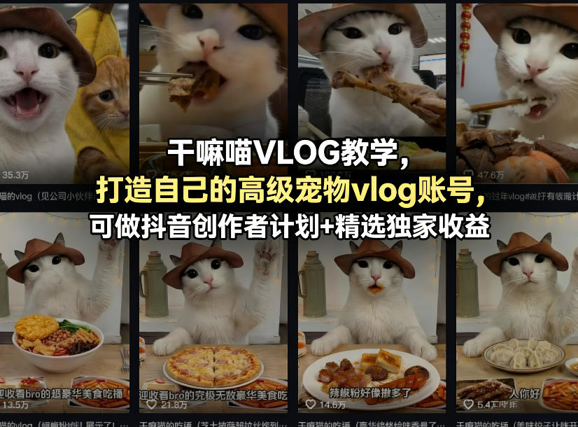 干嘛喵VLOG教学：打造宠物vlog账号实战攻略，抖音创作者计划变现指南