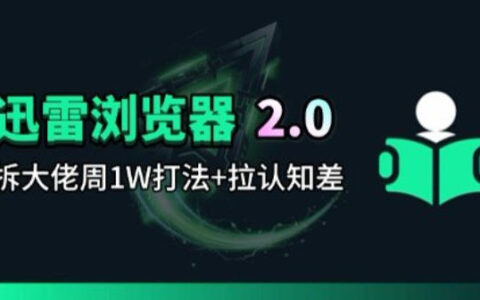 2025迅雷浏览器项目2.0：高手盈利策略实操拆解指南