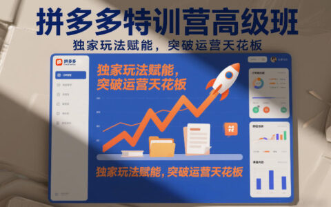 拼多多高阶实战课程：独家策略赋能，突破运营瓶颈（更新26年4月24日）
