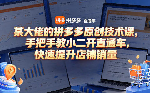 拼多多直通车实战教程：实操策略提升店铺销量与变现指南