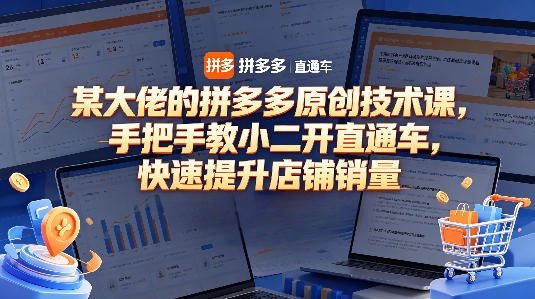 拼多多直通车实战教程：实操策略提升店铺销量与变现指南