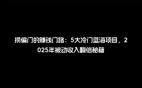 捞偏门的赚钱门路：5大冷门蓝海项目，2025年被动收入翻倍秘籍