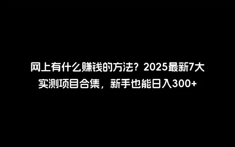 网上有什么赚钱的方法？2025最新7大实测项目合集，新手也能日入300+