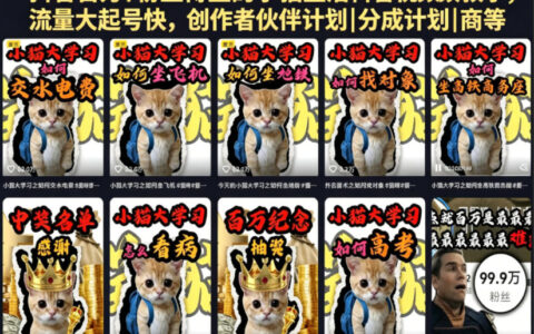 抖音百万粉丝博主小猫生活科普视频教学：零基础剪辑入门，快速起号变现副业