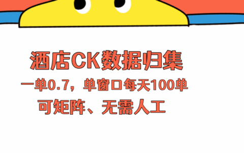 上班也能实践的酒店数据归集变现策略，单人矩阵操作实战指南
