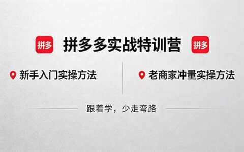 拼多多实战营(更新5月15)：新手入门/老商家冲量实操指南，实测变现通道