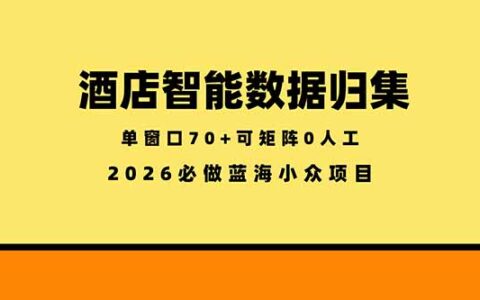 酒店智能数据归集项目：小众蓝海稳定半年，低成本矩阵实战攻略