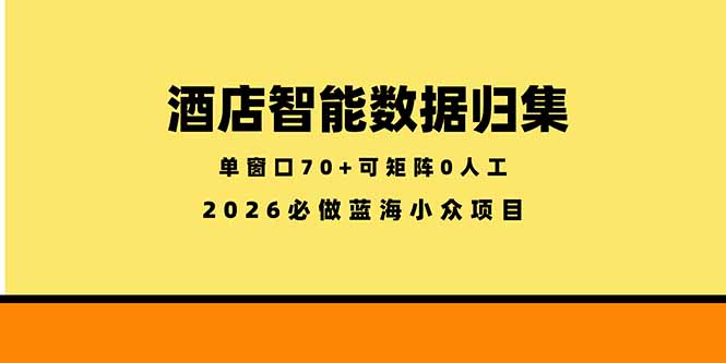 酒店智能数据归集项目：小众蓝海稳定半年，低成本矩阵实战攻略