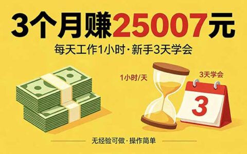 3个月实测额外收入方法：每天工作1小时，新手快速上手攻略！