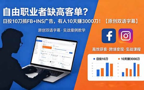 自由职业者高客单策略：FB+INS广告$10日投放实战，10天$300步骤0收益案例解析