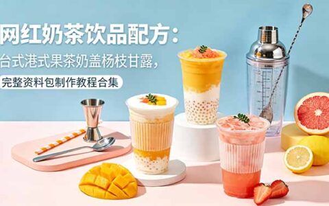网红奶茶饮品配方：台式港式果茶奶盖杨枝甘露完整教程合集