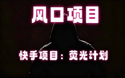 快手风口项目：荧光计划策略，稳定操作，适合批量应用
