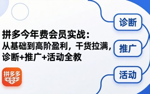 拼多多年费会员实战(更新26年5月5)：从基础到高阶变现策略，干货拉满，诊断+推广+活动全攻略
