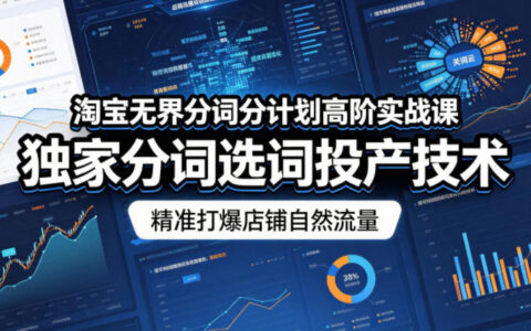 淘宝无界分词分计划高阶实战课，独家分词选词投产技术，精准提升店铺自然流量