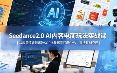 Seedance2.0 AI内容电商变现实战课｜从底层逻辑到批量起号策略，高效提升GMV实操指南