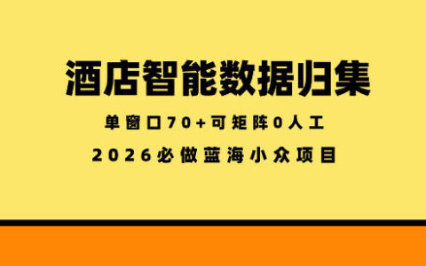 酒店智能数据归集项目：小众蓝海稳定半年，低成本矩阵变现攻略