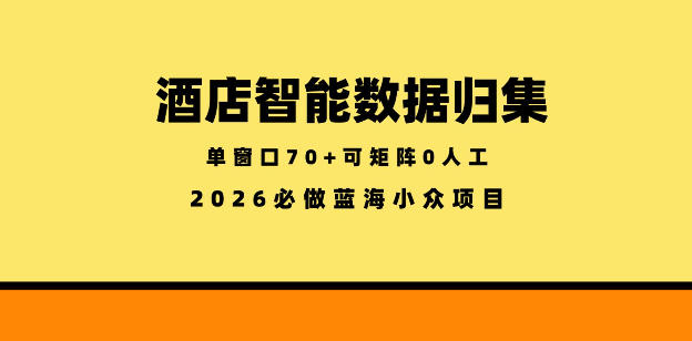 酒店智能数据归集项目：小众蓝海稳定半年，低成本矩阵变现攻略