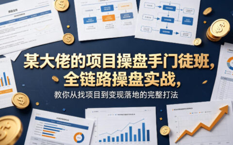 项目操盘实战课程：从项目挖掘到变现落地的完整实操指南