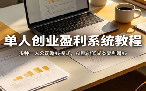 2025一人公司赚钱实战指南：AI赋能低成本被动收入策略