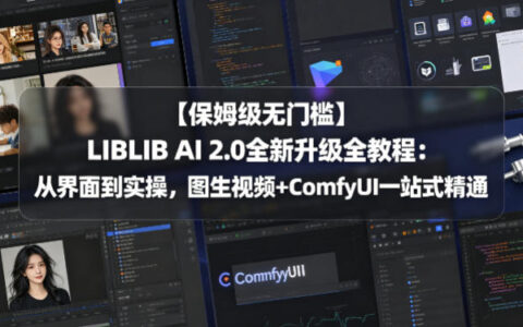 【保姆级实操】LIBLIB AI 2.0全新升级变现指南：图生视频+ComfyUI一站式精通