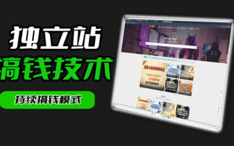 麦子甜独立站项目实操指南｜从搭建到引流全流程（第一期）