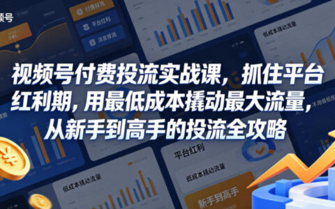 视频号付费投流实战指南：抓住平台红利期，低成本高效引流从新手到高手全攻略