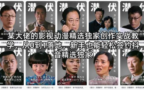 某大佬的影视动漫精选创作实战指南：从0到1实操案例，新手也能掌握变现方法