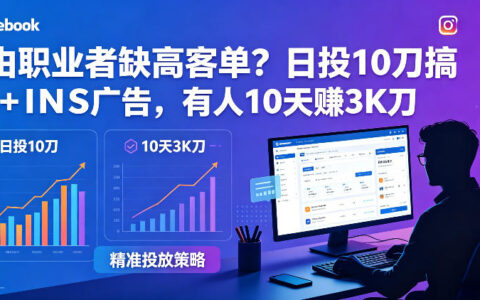自由职业者如何提升收入？FB+INS广告实战策略与10天变现案例解析【原创双语字幕】
