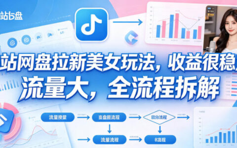 B站网盘拉新实战项目：稳定流量变现与被动收入全流程拆解