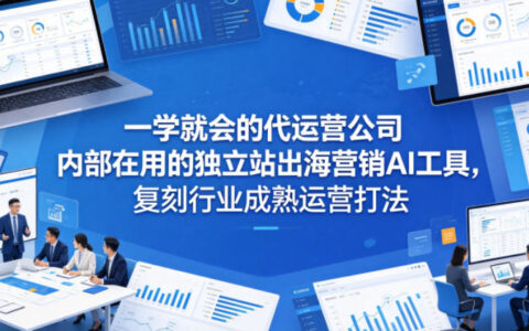 代运营公司内部在用的独立站出海营销AI工具实操指南，复刻行业成熟运营打法