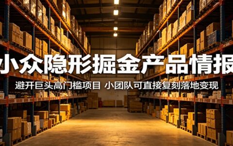 小众隐形项目实操指南：避开巨头高门槛，小团队可直接复刻变现