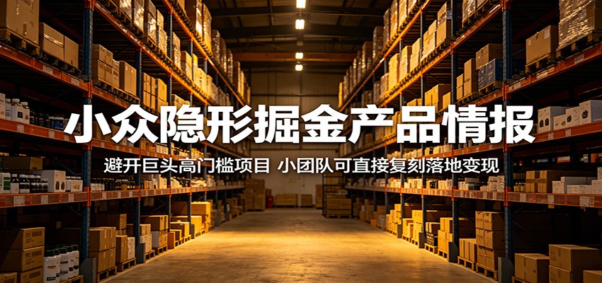 小众隐形项目实操指南：避开巨头高门槛，小团队可直接复刻变现