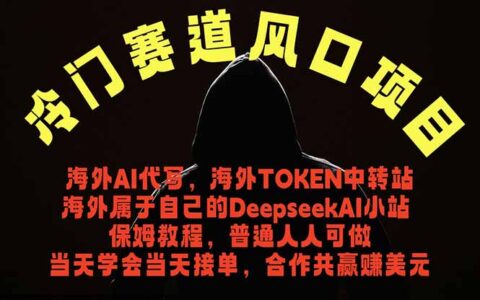 冷门AI代写海外风口！低成本当天接单，用DeepSeek帮外国人写文案