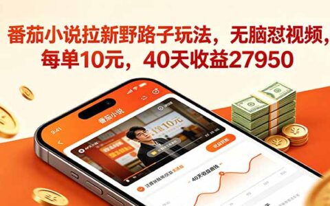 番茄小说拉新野路子，无脑视频变现2.8万，小白可做